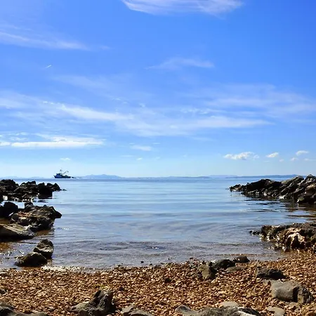 Laguna *