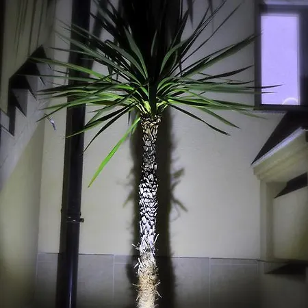 Laguna Apartment